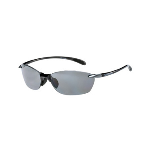 スワンズ(SWANS) SA601   偏光サングラス