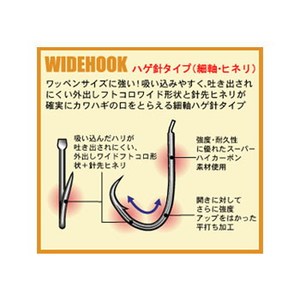 _C(Daiwa) cl`wJnMitojvgSDT