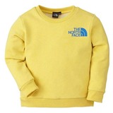 THE NORTH FACE(ザ･ノース･フェイス) TNF Crew Kid’s NTJ34900 長袖シャツ(ジュニア/キッズ/ベビー)