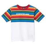 THE NORTH FACE(ザ･ノース･フェイス) USAGI Border Tee Kid’s NTJ32029 半袖シャツ(ジュニア/キッズ/ベビー)