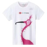 THE NORTH FACE(ザ･ノース･フェイス) Africa Tee Women’s NTW32030 Tシャツ･ノースリーブ(レディース)