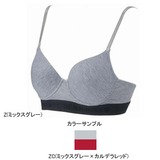 THE NORTH FACE(ザ･ノース･フェイス) NUW6768M LIGHT WEIGHT BRA Women’s NUW6768M ブラ(レディース)
