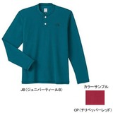 THE NORTH FACE(ザ･ノース･フェイス) L/S DRY HONEYCOMB Men’s NT30027 長袖Tシャツ(メンズ)
