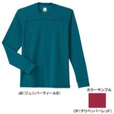 THE NORTH FACE(ザ･ノース･フェイス) L/S DRY HONEYCOMB Men’s NT30028 長袖Tシャツ(メンズ)