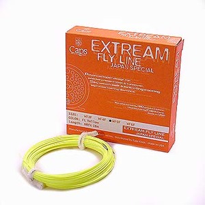 LbvX(Caps) GNXg[@tCC