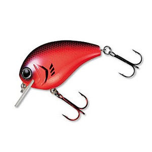 _C(Daiwa) qol@bq`mj@lhc|S