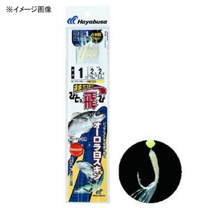 nuT(Hayabusa) ЂƂс@I[XL