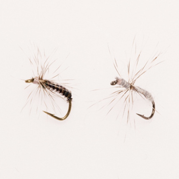 下野(しもつけ) 下野 極選テンカラ毛鈎 306193 鮎･渓流仕掛け