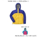 THE NORTH FACE(ザ･ノース･フェイス) DOT SHOT JACKET Women’s NPW10800 ソフトシェルジャケット(レディース)