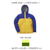 THE NORTH FACE(ザ･ノース･フェイス) DOT SHOT JACKET Men’s NP10800 ハードシェルジャケット(メンズ)