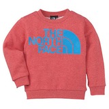 THE NORTH FACE(ザ･ノース･フェイス) TNF CREW Kid’s NTJ39000 長袖シャツ(ジュニア/キッズ/ベビー)
