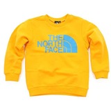 THE NORTH FACE(ザ･ノース･フェイス) TNF CREW Kid’s NTJ39900 長袖シャツ(ジュニア/キッズ/ベビー)