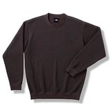 THE NORTH FACE(ザ･ノース･フェイス) DACRON QD COTTON CREW NT35403 長袖シャツ(メンズ)