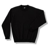 THE NORTH FACE(ザ･ノース･フェイス) DACRON QD COTTON CREW NT35403 長袖シャツ(メンズ)