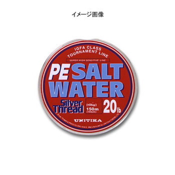 ユニチカ(UNITIKA) シルバースレッド ソルトウォーターPE 06034 オールラウンドPEライン