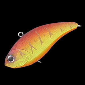 Go[O[(EVERGREENj RobgoCu[VEEBU[