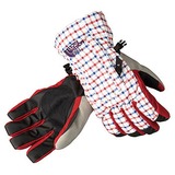 THE NORTH FACE(ザ･ノース･フェイス) Alta Snow Glove NN86909 アウターグローブ(アウトドア)