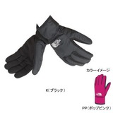 THE NORTH FACE(ザ･ノース･フェイス) BOREALIS GLOVE  NN86911 インナー･フリースグローブ(アウトドア)