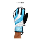 ミズノ(MIZUNO) ブレスサーモ エナメルグラブ A53GM22324 アウターグローブ(アウトドア)