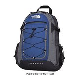 THE NORTH FACE(ザ･ノース･フェイス) BOREALIS NM07413 30～39L