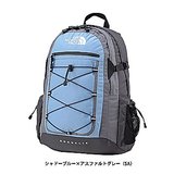 THE NORTH FACE(ザ･ノース･フェイス) BOREALIS NM07413 30～39L