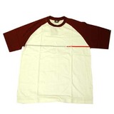 HELLY HANSEN(ヘリーハンセン) グラフィックTシャツ HV66242 半袖Tシャツ(メンズ)