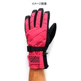 ミズノ(MIZUNO) ブレスサーモスグラブ A53GM22565 アウターグローブ(アウトドア)