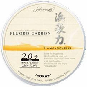 mtBg(TORAY) \[@l̓t@QQT