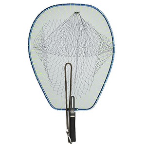 Golden Mean(S[f~[) EF[fBOlbg