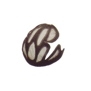 LAZERi[U[j xglOUUOO@CZNg@bV