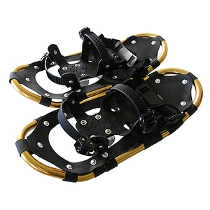 North Eagle(m[XC[O) A~Xm[V[@nCp