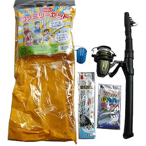 ACCESSiANZXj Cނt@~[Zbg