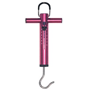 xg(Belmont) tBbVOXP[