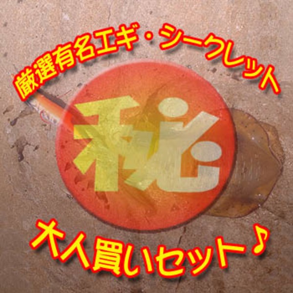 ナチュラム 厳選有名エギ･シークレット大人買いセット♪   エギセット