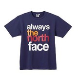 THE NORTH FACE(ザ･ノース･フェイス) ALWAYS TNF TEE Men’s NT34070 半袖Tシャツ(メンズ)