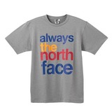 THE NORTH FACE(ザ･ノース･フェイス) ALWAYS TNF TEE Men’s NT34070 半袖Tシャツ(メンズ)