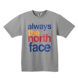 THE NORTH FACE(ザ･ノース･フェイス) ALWAYS TNF TEE Men’s NT34070 半袖Tシャツ(メンズ)
