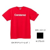 THE NORTH FACE(ザ･ノース･フェイス) 7 SUMMIT TEE Men’s NT34073 半袖Tシャツ(メンズ)