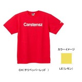 THE NORTH FACE(ザ･ノース･フェイス) 7 SUMMIT TEE Men’s NT34073 半袖Tシャツ(メンズ)