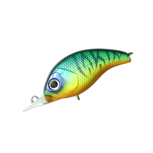 fvX(Deps) jnqqhf`miRKj@lq