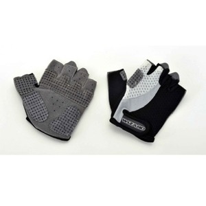 viEBU[hj GA[RtH[gOu@S