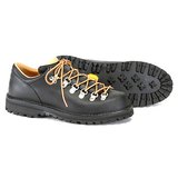 DANNER(ダナー) マウンテンリッジ･ロー D-7006 【廃】シューレースタイプ
