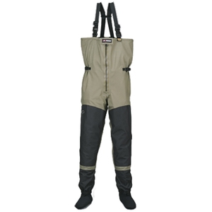 Sir FrancisiT[tVXj T[tVX@GH[VEF[_[