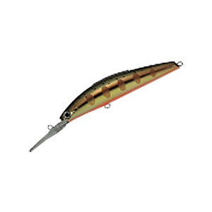 oXfC(Bassday) VK[fB[v@XOe@v~A