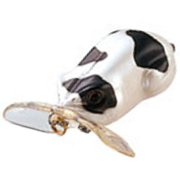 バスデイ(Bassday) との   ノイジー