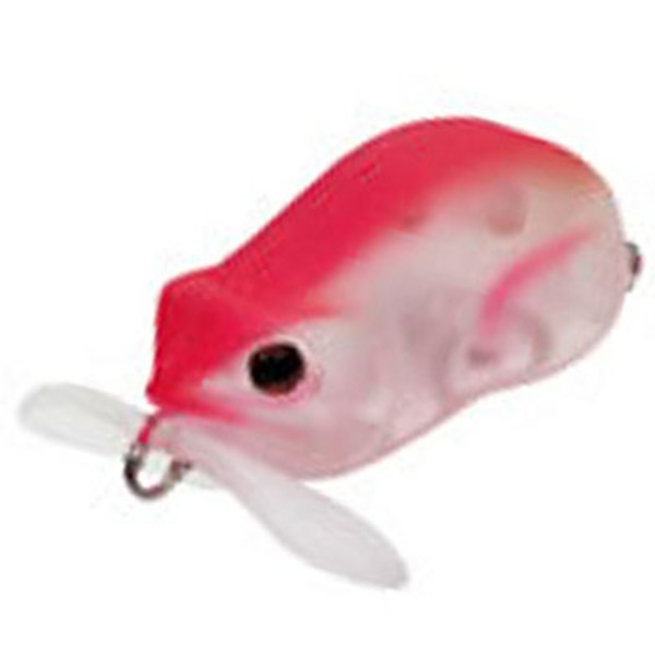 バスデイ(Bassday) ことの   ノイジー