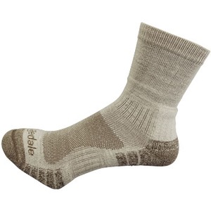 bridge dele(ubWfC) gCCg