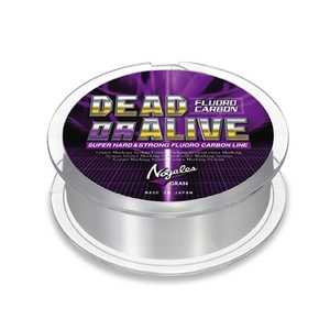 ooXiVARIVASj O@m@fbh@IA|ACu@utJ[{v