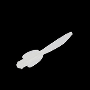 }A(Maria) }}[\tg@NIl