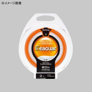 クレハ(KUREHA) シーガー 60m 単品 S6030 ハリス50m